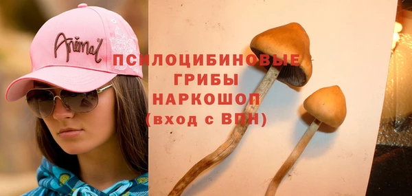 наркотики Горняк
