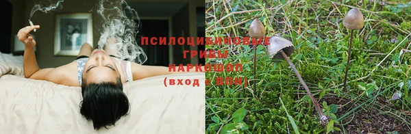 герыч Волосово