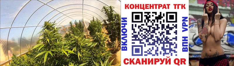 площадка какой сайт  KRAKEN ONION  Зеленогорск  купить наркотик  ТГК вейп 