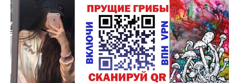 kraken tor  Зеленогорск  Галлюциногенные грибы ЛСД 
