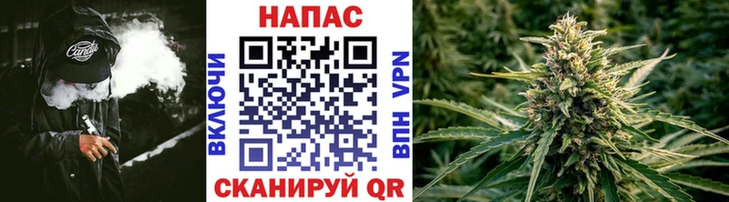 МАРИХУАНА планчик  Зеленогорск 